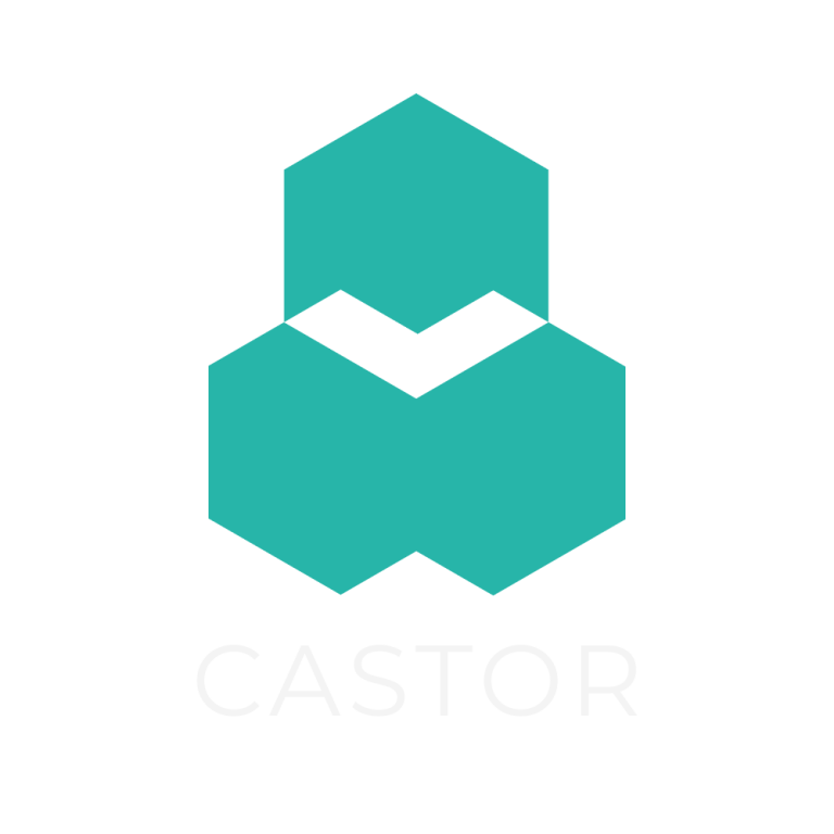 Castor logo Vertical white
